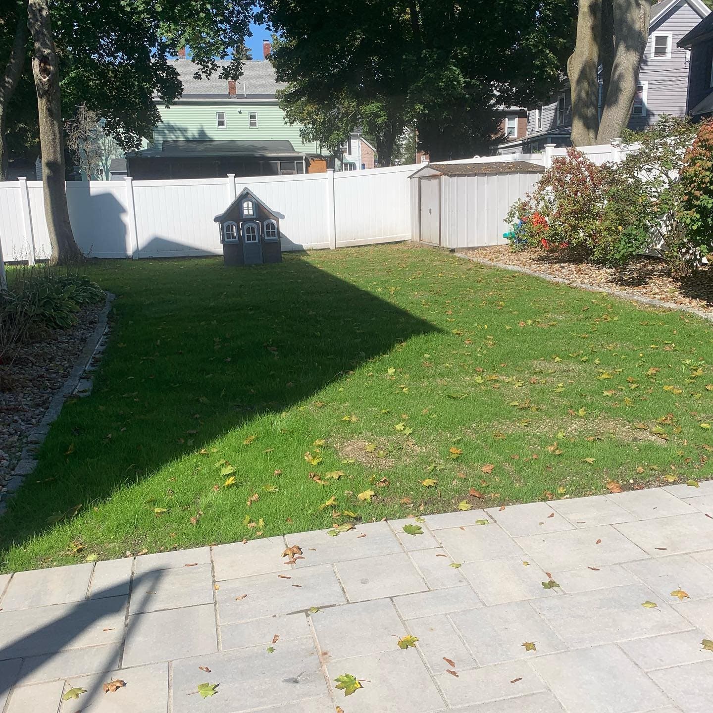 New lawn beside a paver patio