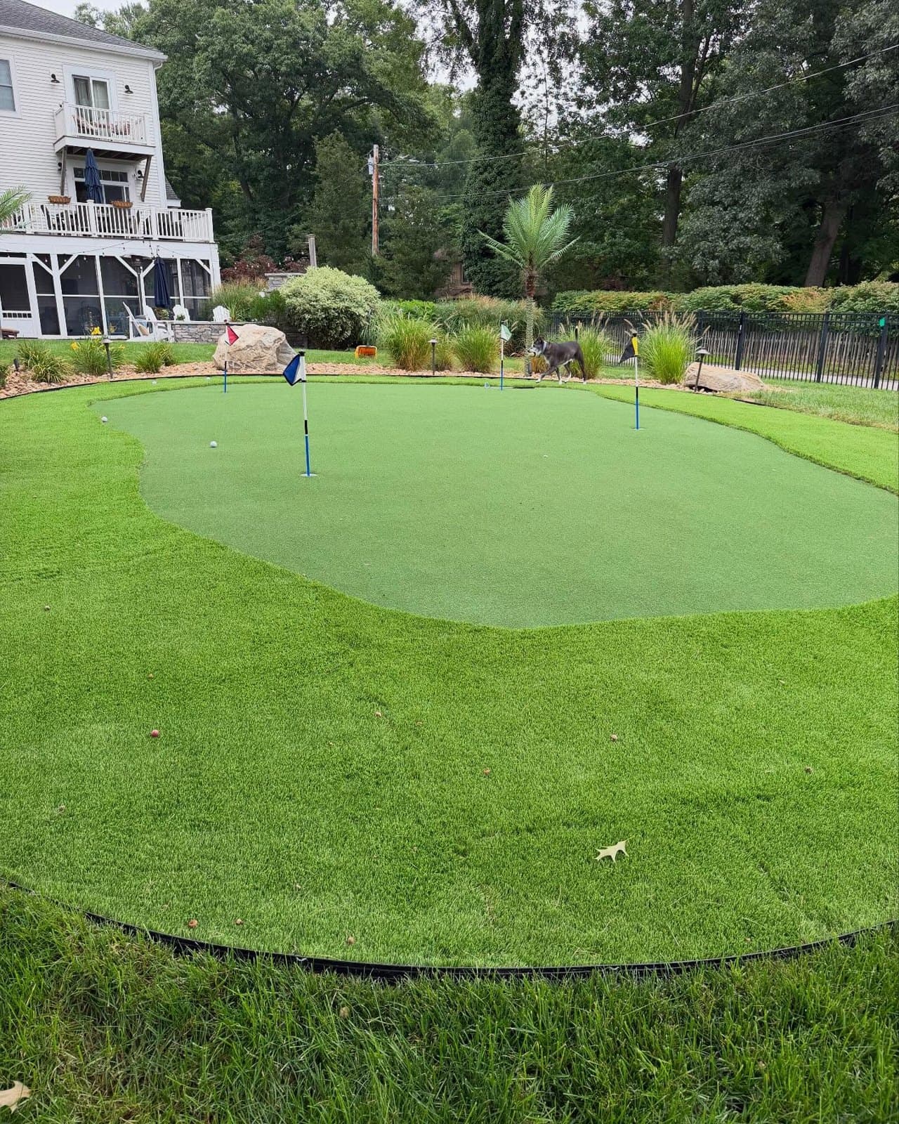Artificial putting green in a backyard