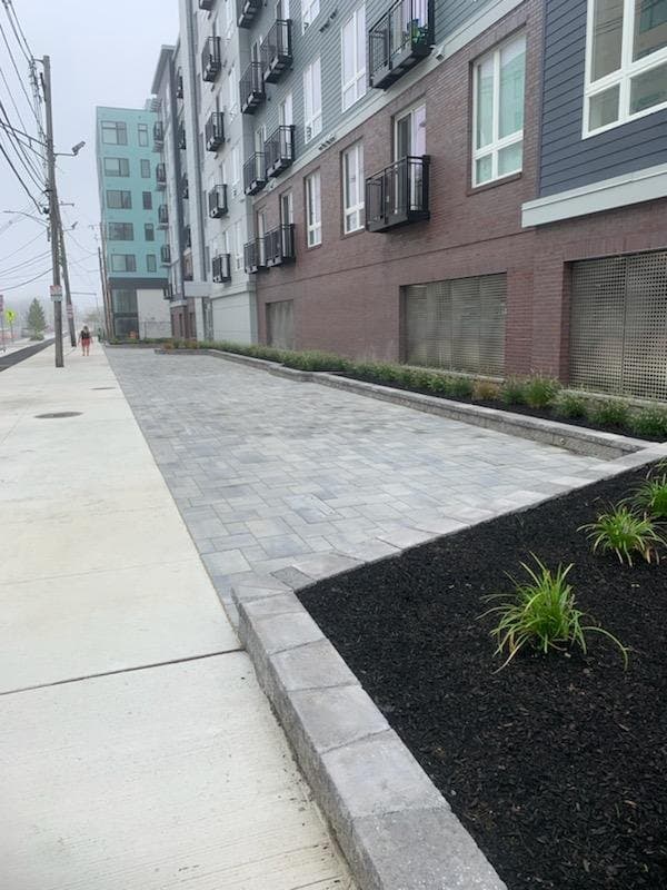 Paver sidewalk with a planted strip along a building